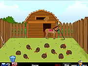 Флеш игра онлайн Wild Turkey Escape